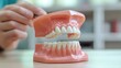 © RATAN - Dental jaw model demonstrating healthy teeth and gums for educational and medical purposes in a clinical setting.