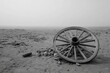 © Consort - Old Wagon Wheel In Foggy Desert Landscape