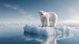 Majestic Polar Bear on Ice: A solitary polar bear stands gracefully upon an iceberg, its stark white coat contrasting beautifully against the icy blue expanse of the ocean and sky.