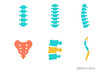 © King558 - Colorful Spine X-Ray Icons. Spine X-Ray Set flat icon set: cervical spine, thoracic spine, lumbar spine, sacrum outline, vertebra segment, spinal curve