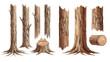 © liana - A collection of various cartoon tree trunks, stumps, and logs with detailed brown bark texture isolated on a transparent background.