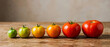 © Aurora Aesthetics - Tomato ripening stages green to red vegetable garden harvest agriculture growth process nature food healthy ingredient salad fresh organic vitamin farm color gradient comparison timeline evolution