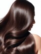 © southwind - Woman showing healthy shiny long brown hair