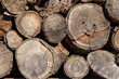 © Sergej - Close up full frame background texture of neatly stacked round firewood logs showing rough bark growth rings and radial cracks in the wood