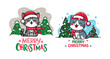 © Visionary Vault - Kawaii Christmas Cat Celebrating Christmas with Winter Holiday Decorations