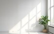 © nana - Minimalist Pastel pale light neutral gray empty room interior blank wall background backdrop with plants window light shadows for online presentations webinars and virtual meetings teams video call