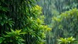 © Boonyapawn - Dense sheets of rain falling on lush green foliage, blurring background,  wet,   saturated