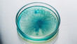 © Athiphat - Petri dish experiment with organic colony growth teal and white tones sterile laboratory environment scientific research microbiology close up circular pattern clean surface