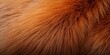 © The 2R Artificiality - Red fox fur texture on cloth, emphasizing rugged, natural surfaces for textile or craft use, Earth Day