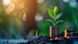 © Ekaterina - A Green Seedling Growing from a Stack of Coins, Symbolizing the Intersection of Nature and Financial Growth in a Beautiful Natural Setting