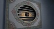 © Pony - Ornate Decorative Ceiling Vent with Hidden Camera.