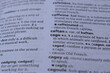 © BlueMistFilmStudios - Definition Of English Dictionary Close Up Of Page With Word - caftan