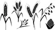 © DesignVectX - Black silhouette wheat spike oat grain vector illustration agriculture harvest farming plants