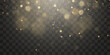 © Leonid - Vector bokeh lights effect isolated on transparent background. Soft blured bokeh and lights png
