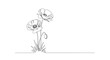 © PDWN Creative - A beautiful illustration of two poppy flowers and a bud in a continuous single line art style, an elegant minimalist floral drawing. 3