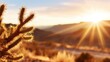 © mudrika - Sunset over a desert landscape with a cactus in the foreground, capturing the serene beauty of nature