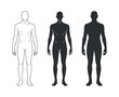 © mdsaikat - Vector Template of Human Body Male and Female Silhouette Outline Solid Shape Isolated on Transparent Background for Anatomy Study or Fashion Design
