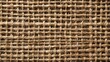 © fivan - A rough jute fabric background, natural neutral tone, high detail