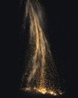 © grey - Upward spray of gold sparks forming fountain-style fireworks.