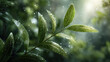© สมเจตน์ หนูแก้ว - Fresh green leaves with water droplets on slender branch in botanical garden, soft backlight and bokeh creating peaceful refreshing mood
