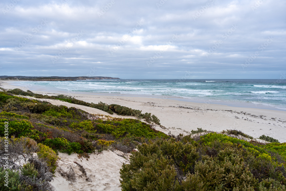 Bales Beach coastal landscape at Seal Bay Conservation Park, Australia