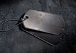 © Caia Image - Military Dogtags
