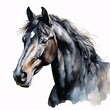 © Studicon - Elegant horse portrait in watercolor with a black mane and white blaze on its head
