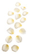 © Photo Find - Falling white rose petals isolated on transparent background