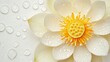 © songsi - Beautiful white lotus flower with droplets on petals and bright yellow center on a light background