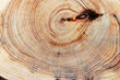 © yrabota - Wood pattern, detailed view of wooden surface with natural tree rings and knot of juniper, grain and line patterns, organic textures in earthy tones. For nature, woodworking, or organic design