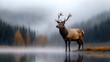 © Cieasha - Majestic Elk Standing Tall by Misty Lake with Forest Backdrop, Creating a Serene Wildlife Scene