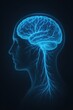 © PixelVision - View of Human Head Cross-Section with Glowing Blue Neural Network for Conceptual Medical and Neuroscience Illustration