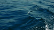 © Andre Silva - blue water wave