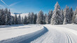 © jef 77 - piste de ski de fond dans les alpes sous le soleil en hiver, sports d'hiver, saison, couche de neige, sport à Chamrousse en France, paysage alpin