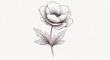 Detailed line art illustration of monochrome anemone flower stem