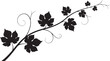 © NOYON_4513 - Black Silhouette of a Grapevine Branch with Leaves on White Background Keywords: grapevine