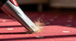 © Len_mik - Close-up shot of clean vacuum sweeping away dog hair from carpet. Vacuum features titanium finish, efficiently removing allergens and dust from fibers.