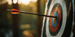 © MNStudio - Arrow hitting center of archery target. Arrow perfectly hitting the bullseye, exemplifying skilled aim and precision.