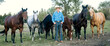 © Connect Images - Cowboy in blue plaid shirt stands with several horses in an open field surrounded by trees. Oregon, USA