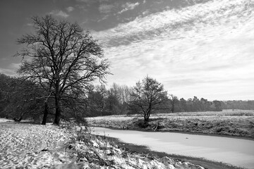  a frozen pond and snow-covered bushes and trees in the forest