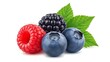 © MdMasud - Fresh assortment of berries including raspberry blueberry and blackberry