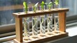 © Enigma - Plant cuttings developing roots in water filled test tubes, illustrating propagation methods, botanical research, and sustainable indoor gardening for growth and new life