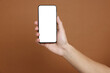 © New Africa - Man holding smartphone with blank screen on brown background, closeup. Mockup for design