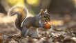 © BURINKUL - Squirrel carrying small fruit in paws, natural wild setting