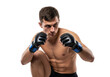 © Vectarica - Fighter mma boxer striking pose ready to fight aggressive stance martial arts isolated on transparent background