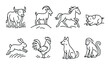 © ihor - Chinese zodiac animals: bull goat horse pig rabbit rooster dog monkey illustrations