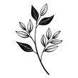 © arifurreza - Black and white botanical illustration of a delicate leafy branch