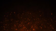 © No - Glowing Fire Sparks and Embers on Dark Background