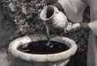 © Marina - Hands pour water into the pot