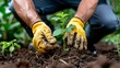 © Polina - A gritty, hands-on shot of a volunteer, wearing tough gloves, pulling out an invasive plant species by its roots